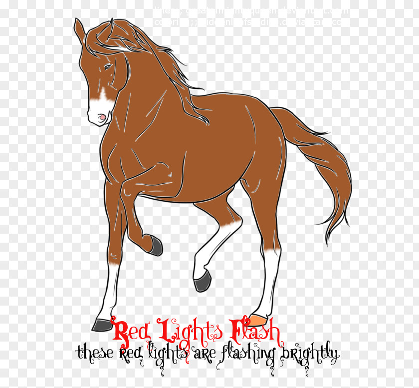 Red Light Bulb Stallion Mane Foal Mustang Mare PNG