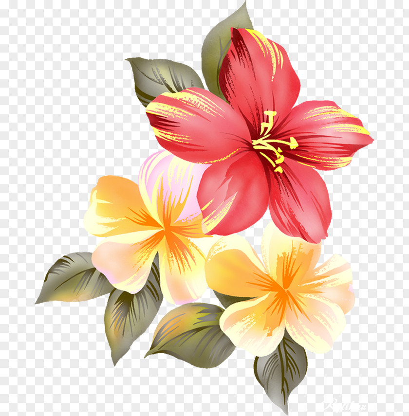 гибискус Cut Flowers Floral Design Clip Art PNG