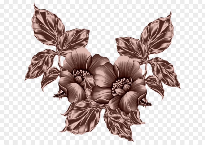 Drawing Flowers Psd Files Botanical Illustration Clip Art PNG