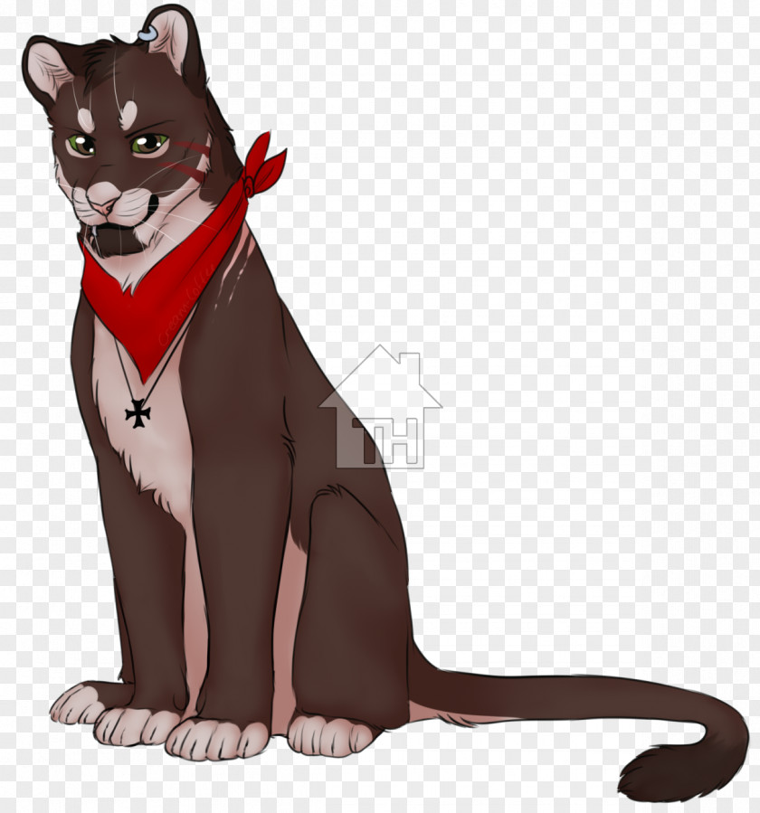 Kitten Whiskers Fur Character PNG