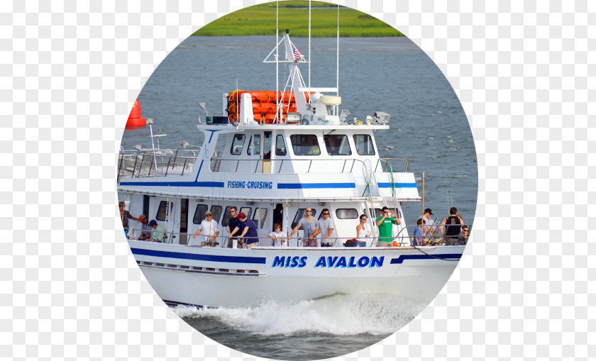 Ocean Star Cruises Miss Avalon Fishing Fleet Drive Cornell Harbor Yacht Boating PNG
