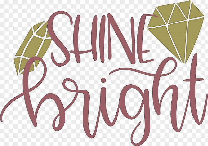 Shine Bright Fashion PNG