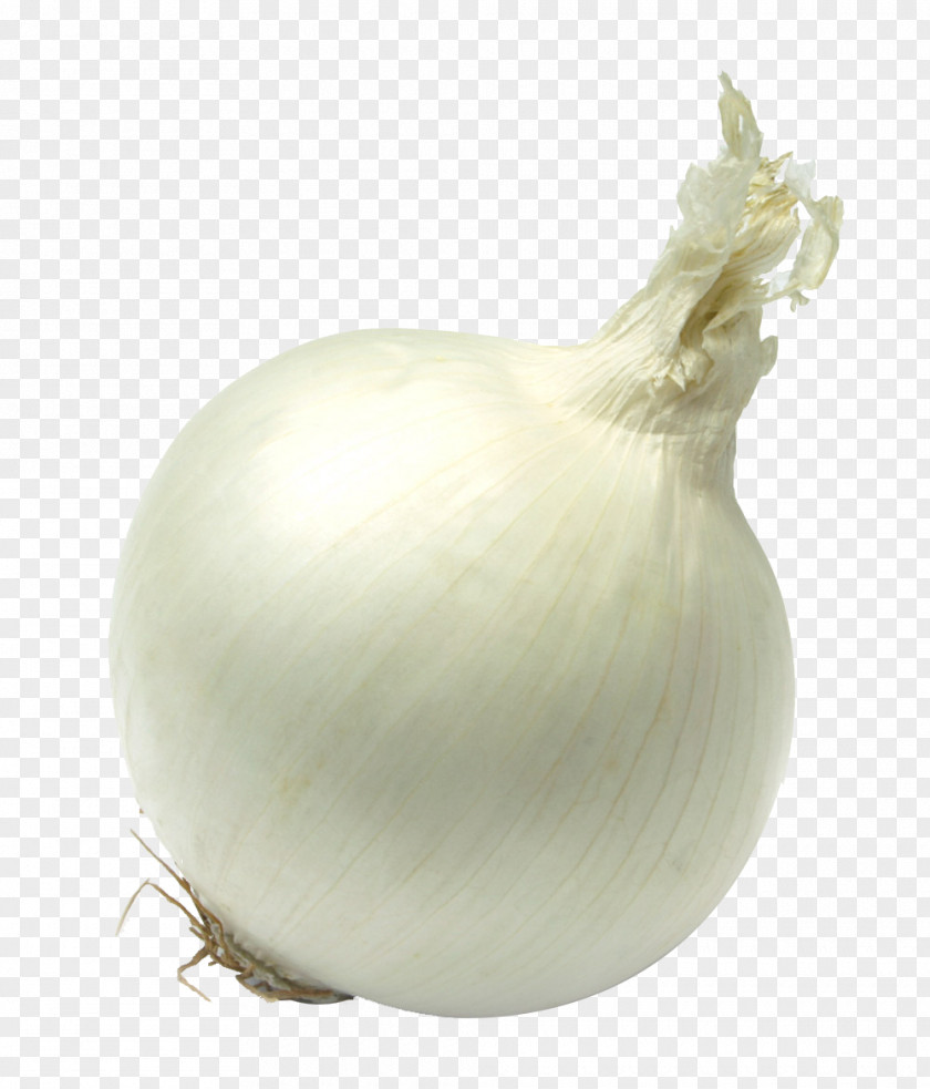 An Onion Yellow Garlic Vegetable White PNG