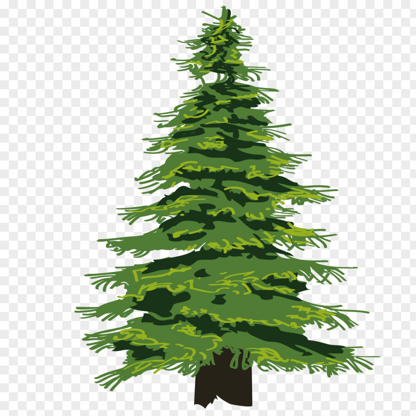 Cartoon Fine Jungle Evergreen Tree Pine Drawing Clip Art PNG