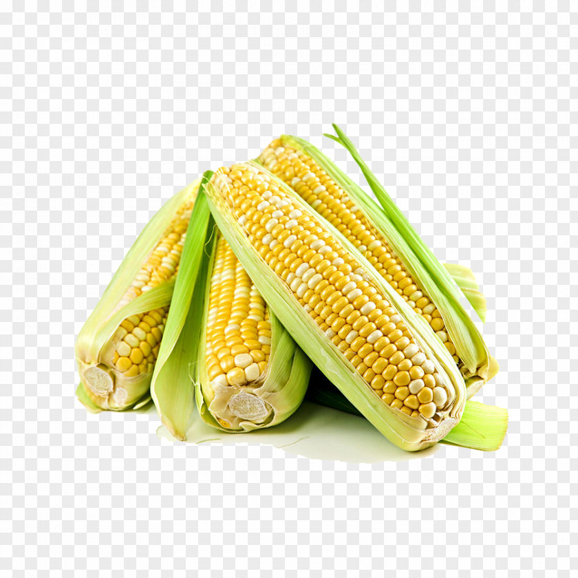 Ear Corn On The Cob Maize Kernel Sweet PNG