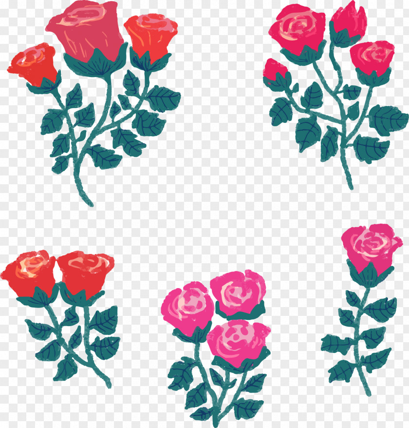 Red Roses Garden Beach Rose Rosa Gallica Flower Clip Art PNG