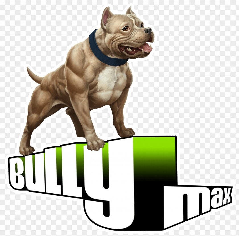 Bull American Bully Pit Terrier Bulldog PNG