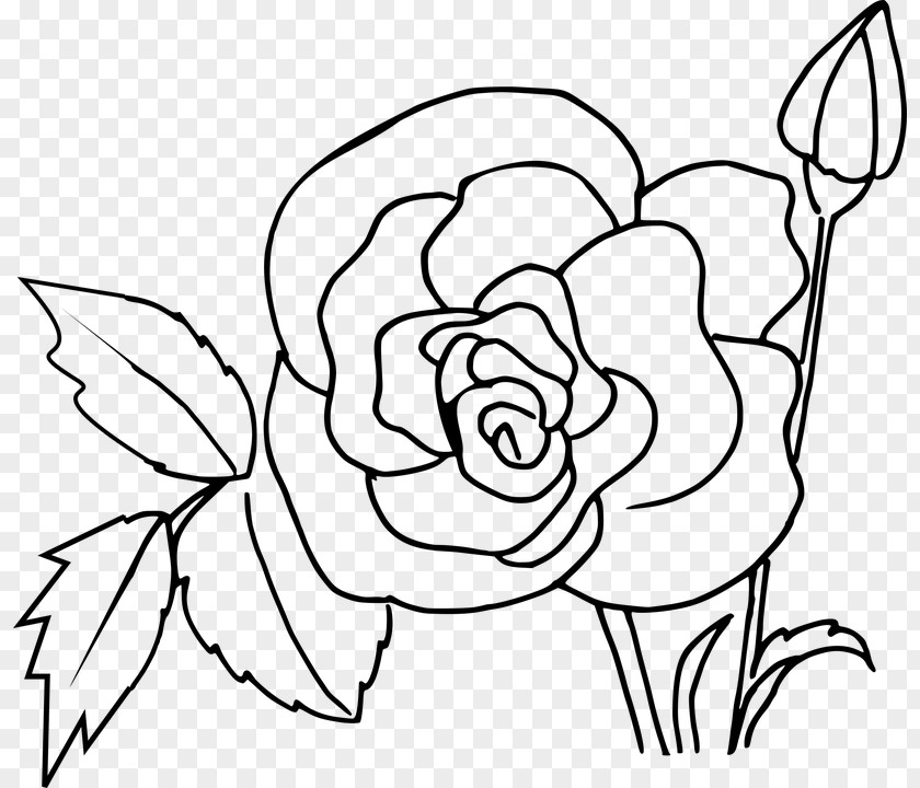 Line Drawing Of Flowers Coloring Book Child PNG