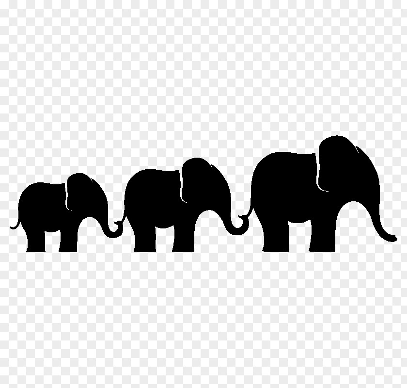 M Clip Art Indian Elephant African Black & White PNG