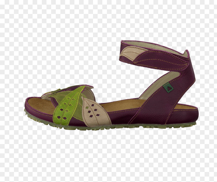 Sandal Slipper Purple Shoe Beige PNG