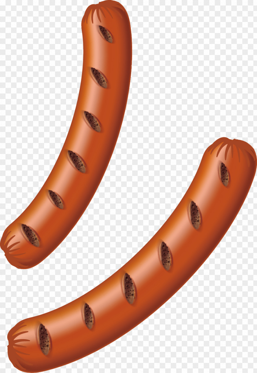 Sausage Two Vector Hot Dog Hamburger Barbecue Bacon PNG