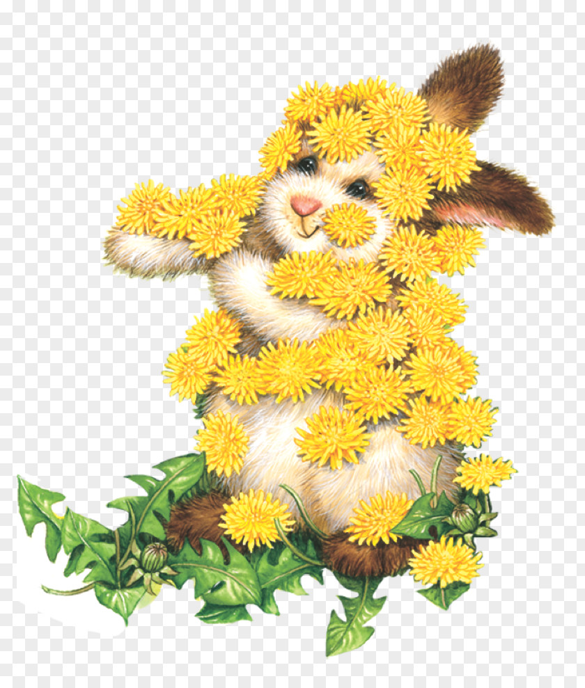 Sterling Publishing Quiet Bunny's Many Colors Cut Flowers Floral Design Yellow Chrysanthemum PNG