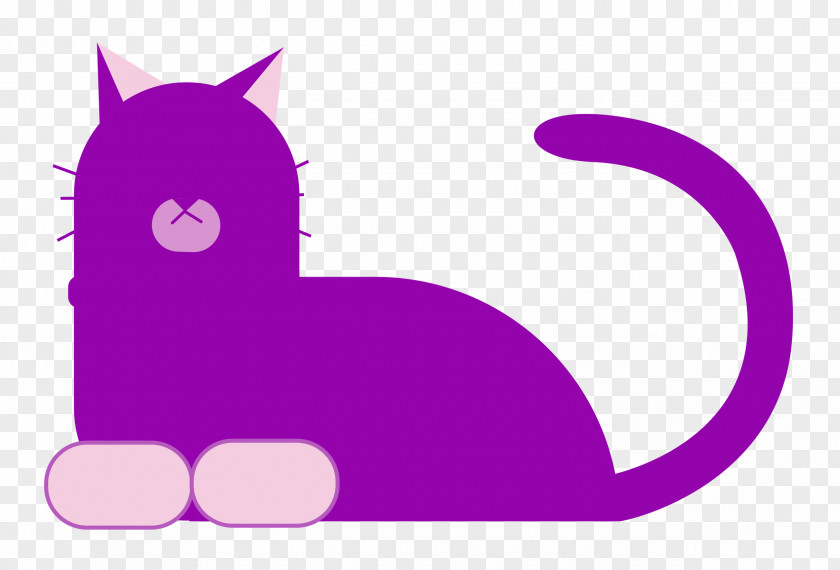Cat Kitten Snout Whiskers Horse PNG
