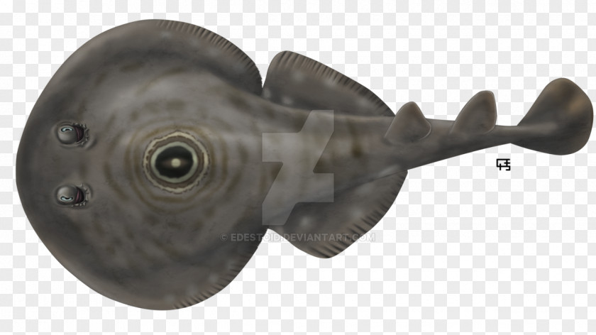 Charming Electric Eye Fish PNG