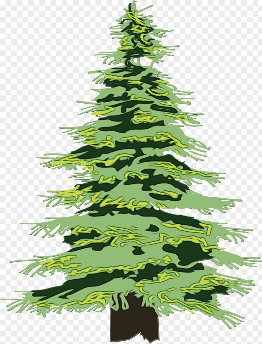 Christmas Tree PNG