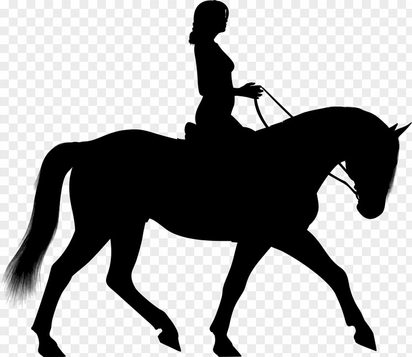 Horse Riding Equestrian Silhouette Clip Art PNG