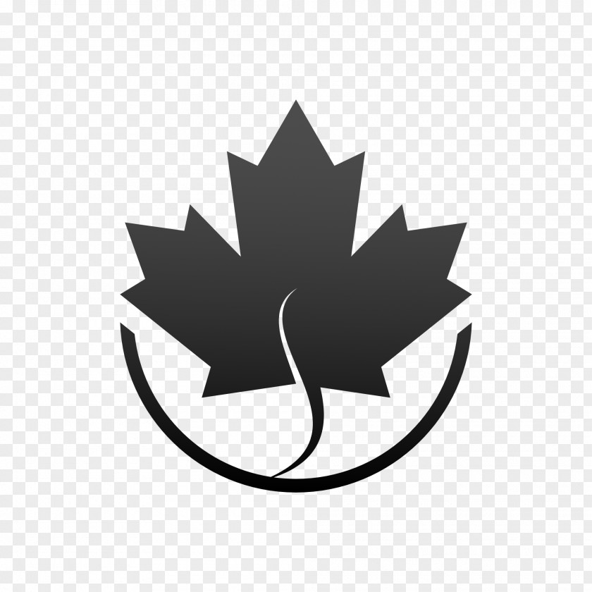 Icy Maple Leaf Flag Of Canada PNG