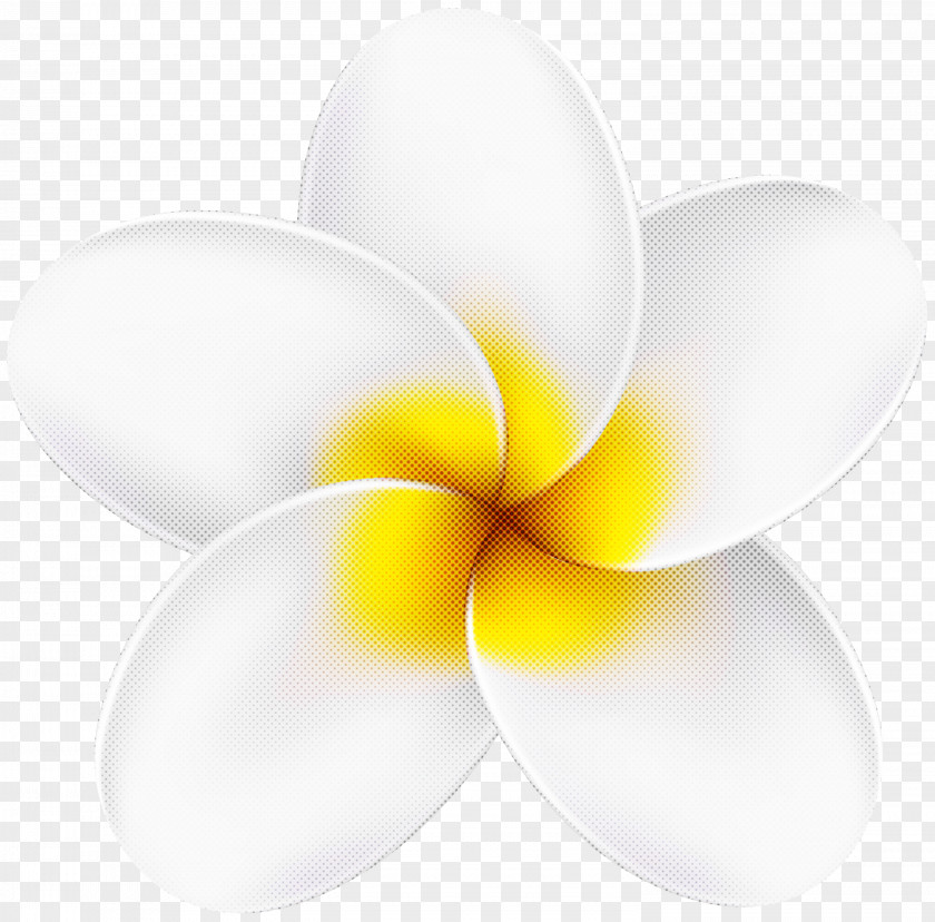 Petal Yellow Lighting Computer M PNG