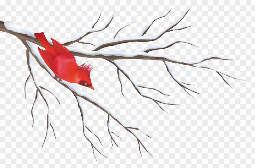 Winter Branch With Bird Clipart Image Clip Art PNG