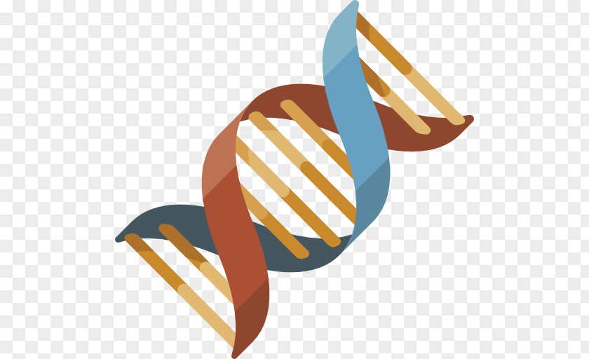 421 Genetics DNA Clip Art PNG