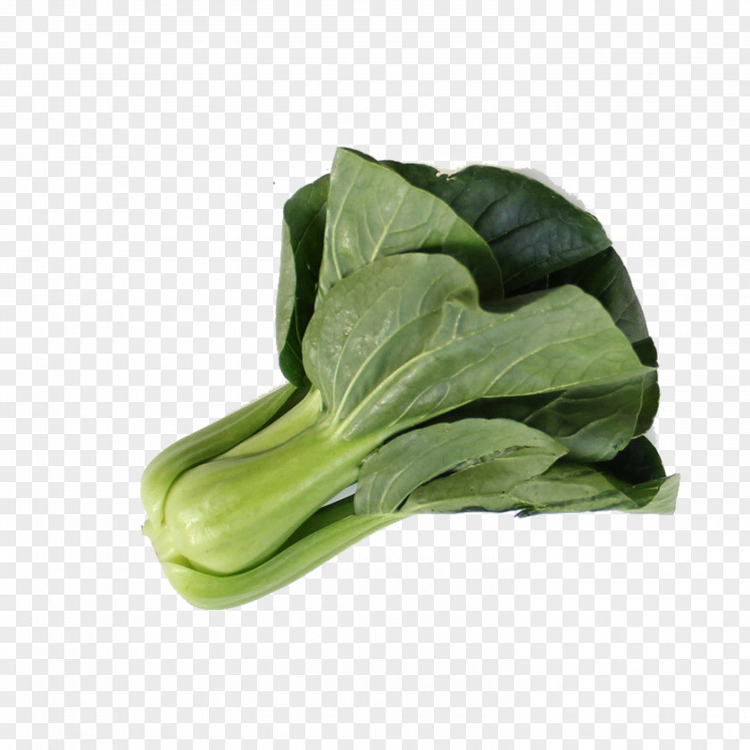 Cabbage Romaine Lettuce Choy Sum Leaf Vegetable Spring Greens PNG