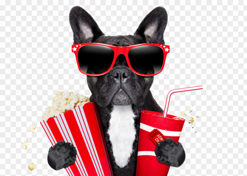 Dog Stock Photography Cinema Film Royalty-free PNG