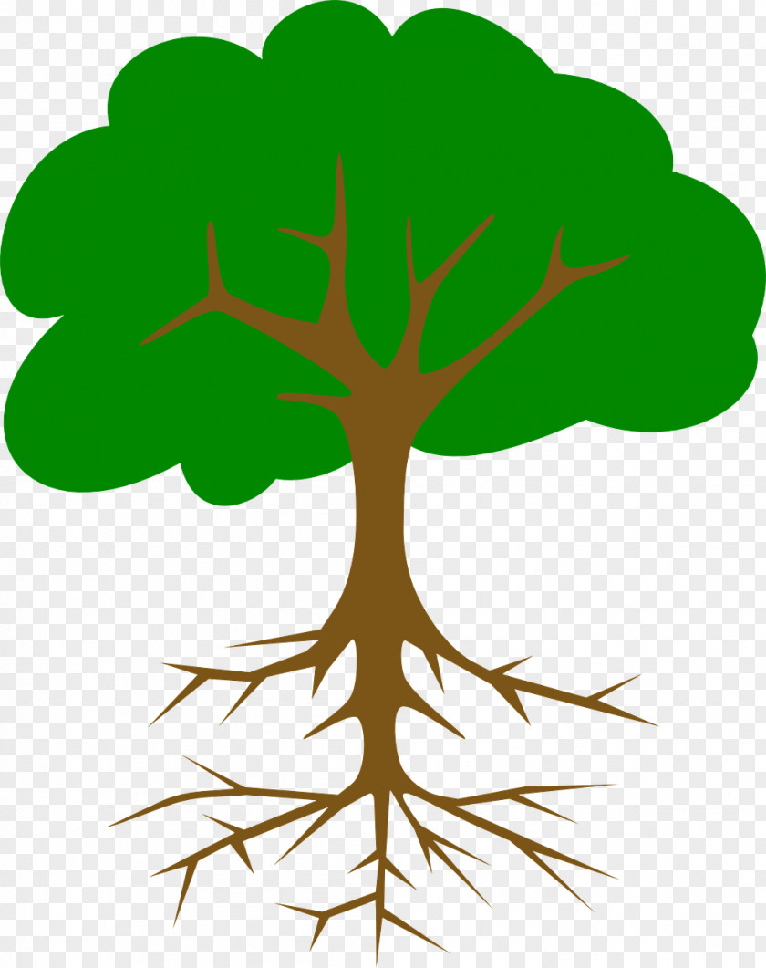 Redwood Tree Clip Art PNG