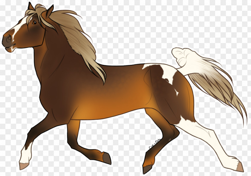 Cat Shop Mustang Foal Stallion Mare Pony PNG