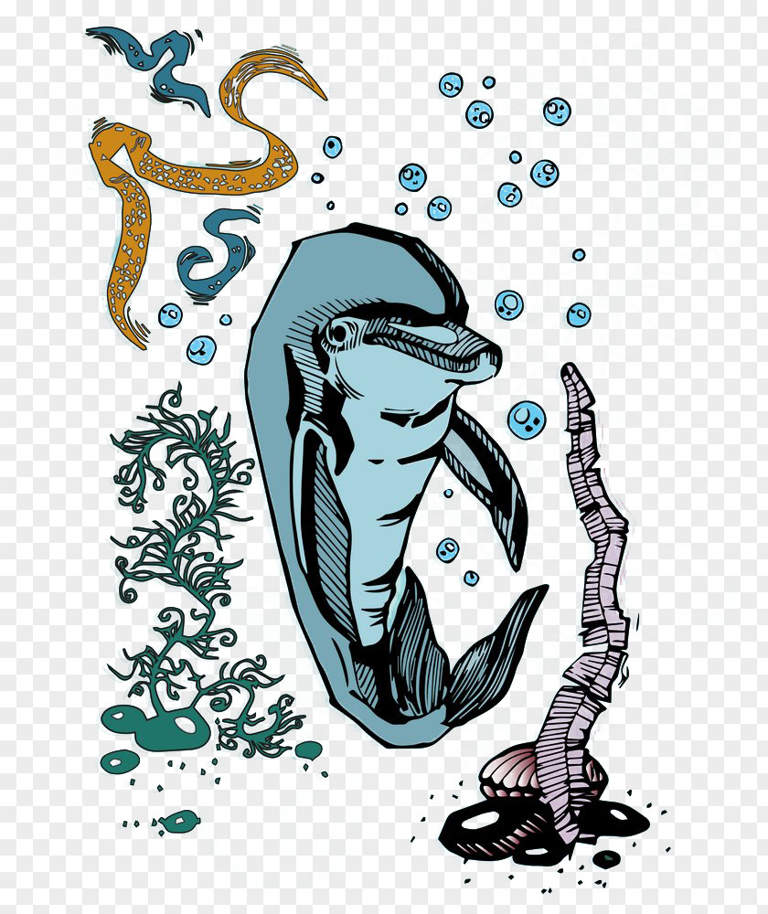 Dolphin Cartoon Illustration Comics PNG