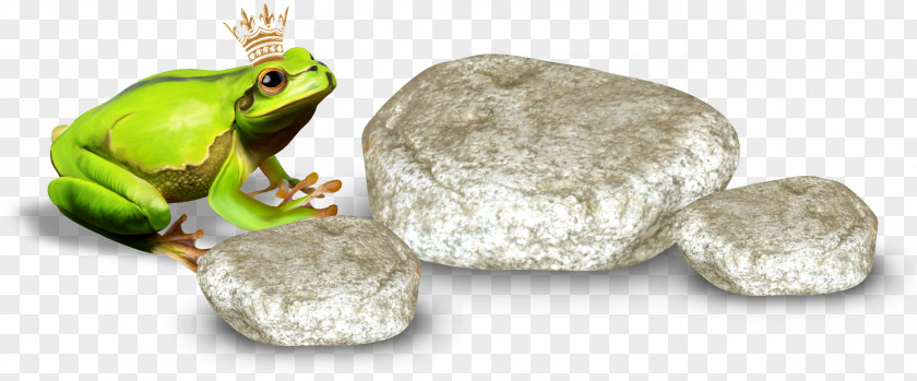 Frog Stone The Prince Clip Art PNG