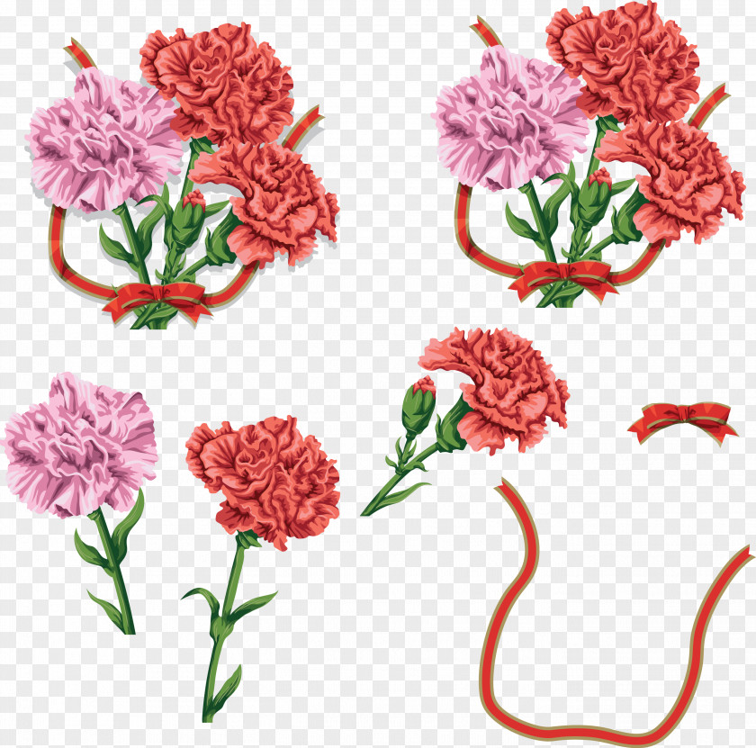Gazania Carnation Cut Flowers Clip Art PNG
