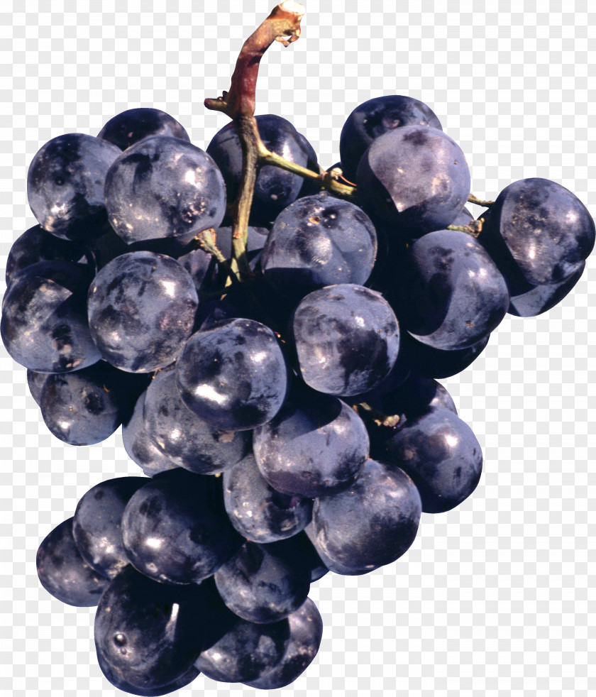 Grape Image Concord PNG