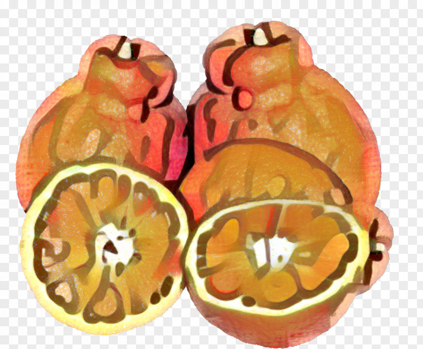 Grapefruit Plant Winter Cartoon PNG