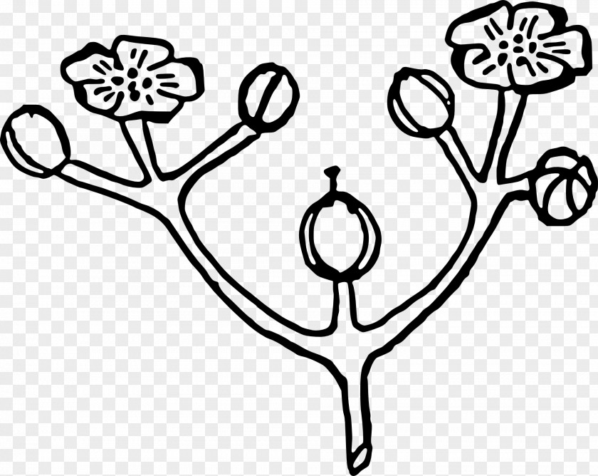 Plant Segmentation Line Flower Bouquet Clip Art PNG