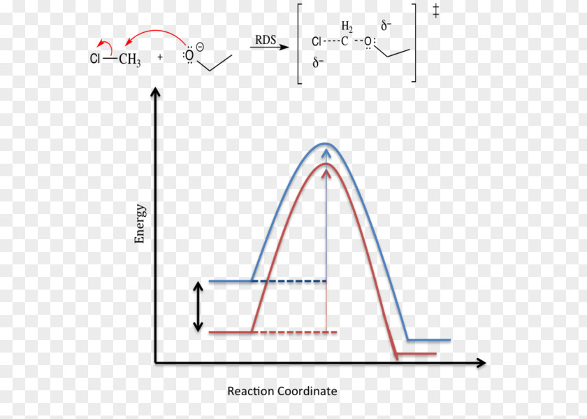 Energy Profile Reaction Coordinate Chemical Solvent Effects Rate PNG