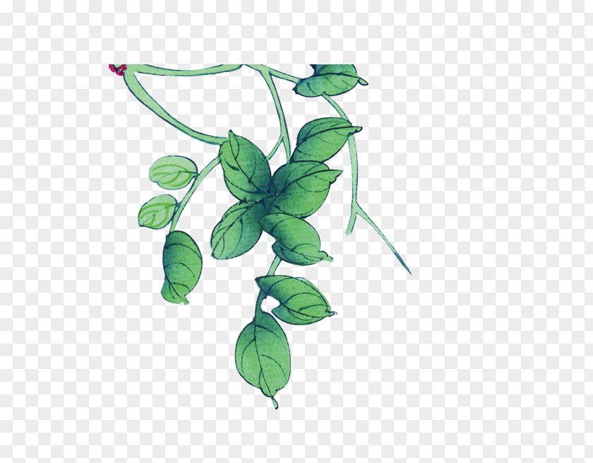 Green Leaves Flowers And Birds Google Images PNG