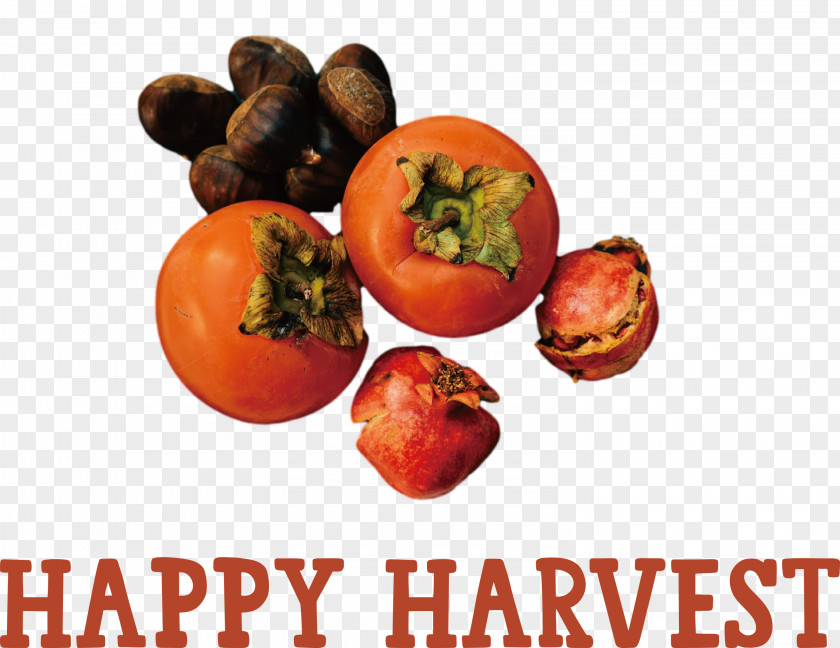 Happy Harvest Harvest Time PNG