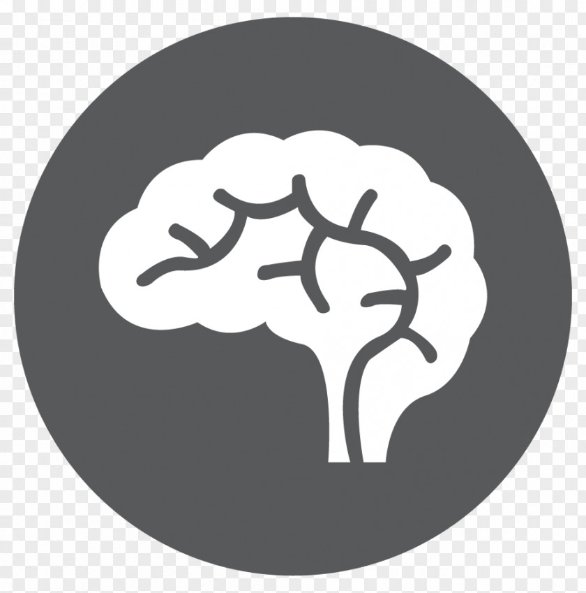 Intellectual Human Brain White Matter Clip Art PNG