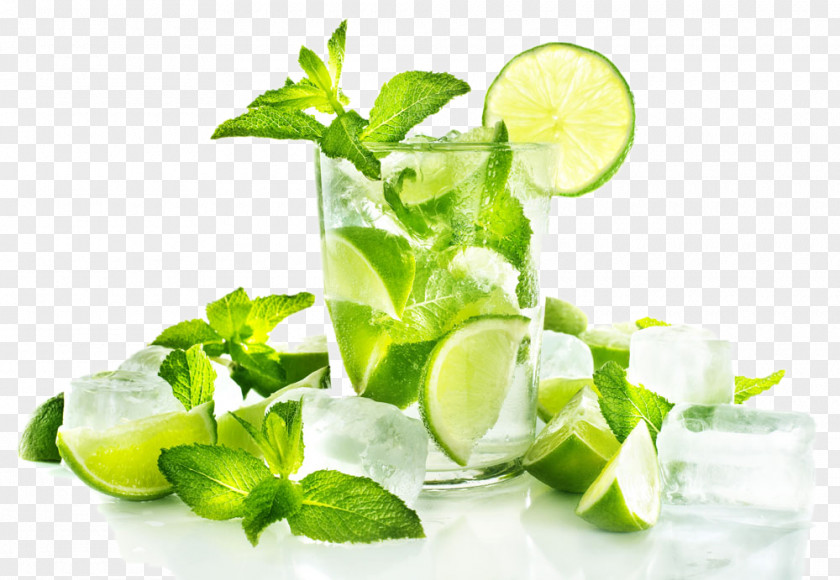 Lemon Mint Juicer Squeezer Iced Tea PNG