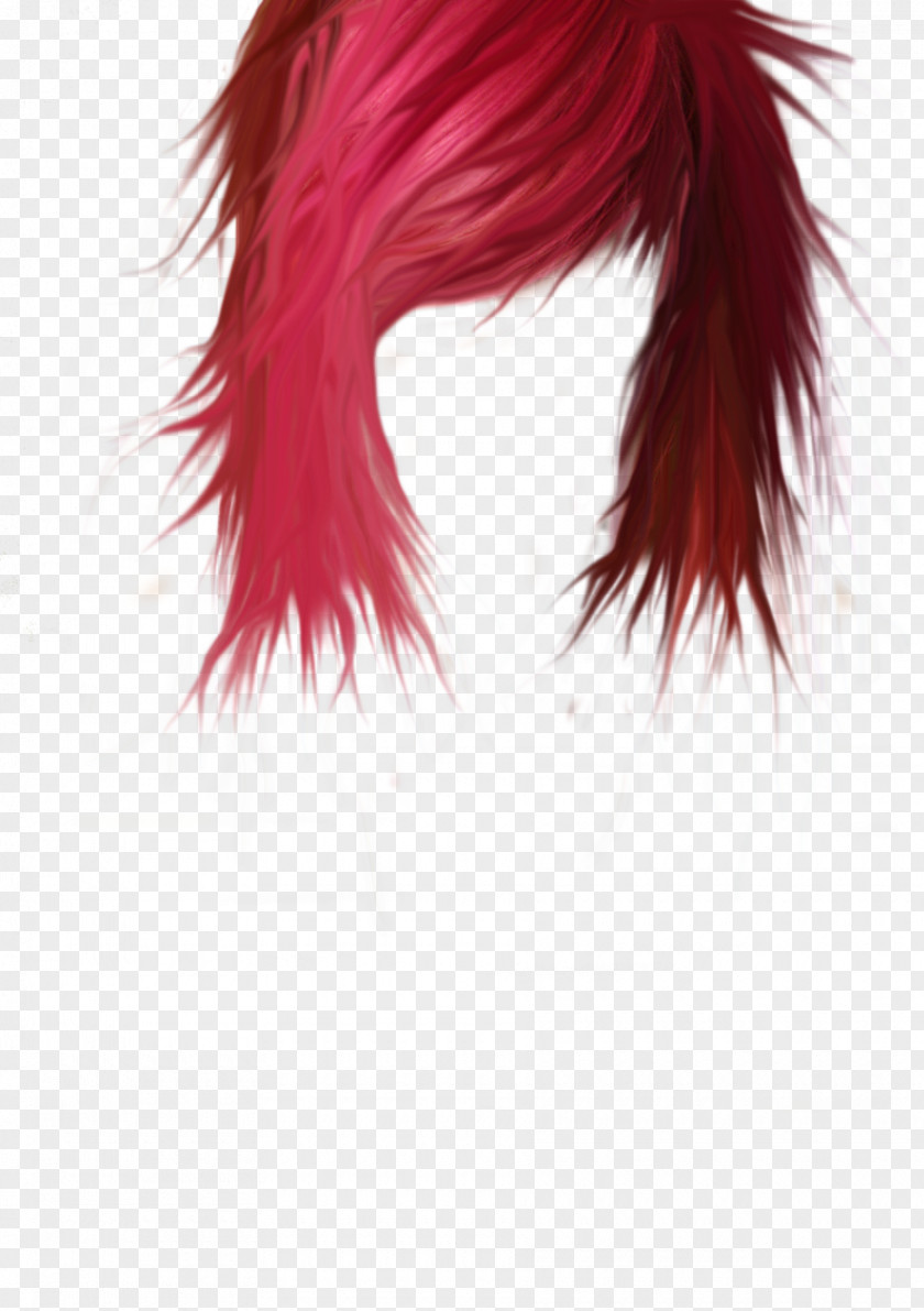 Women Hair Image Hairstyle Coloring Clip Art PNG
