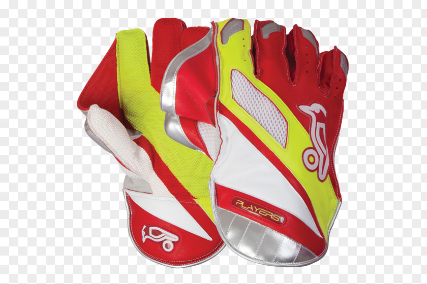 Cricket Wicket-keeper's Gloves Batting Glove PNG