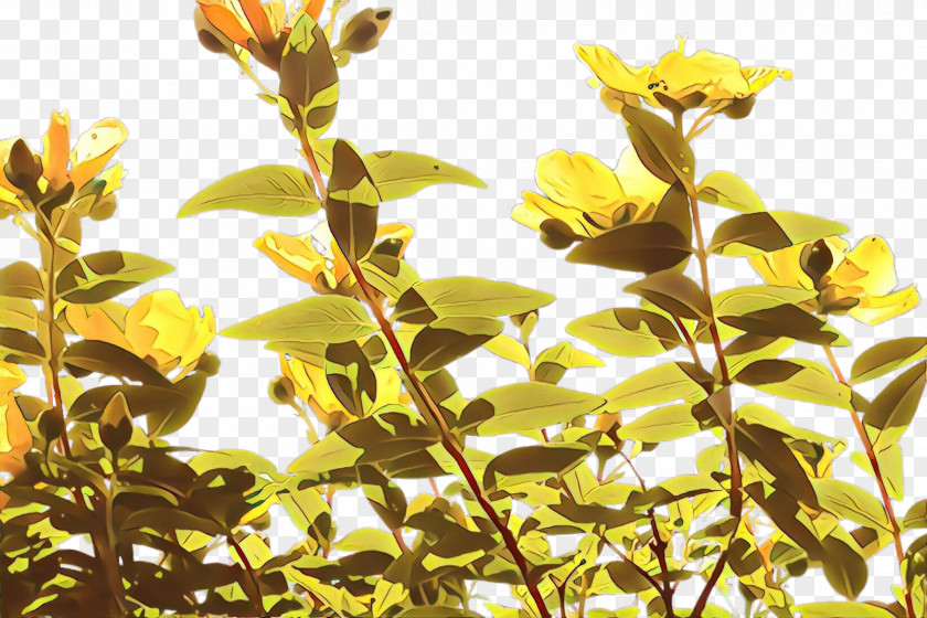 Flower Plant Yellow Leaf Branch PNG