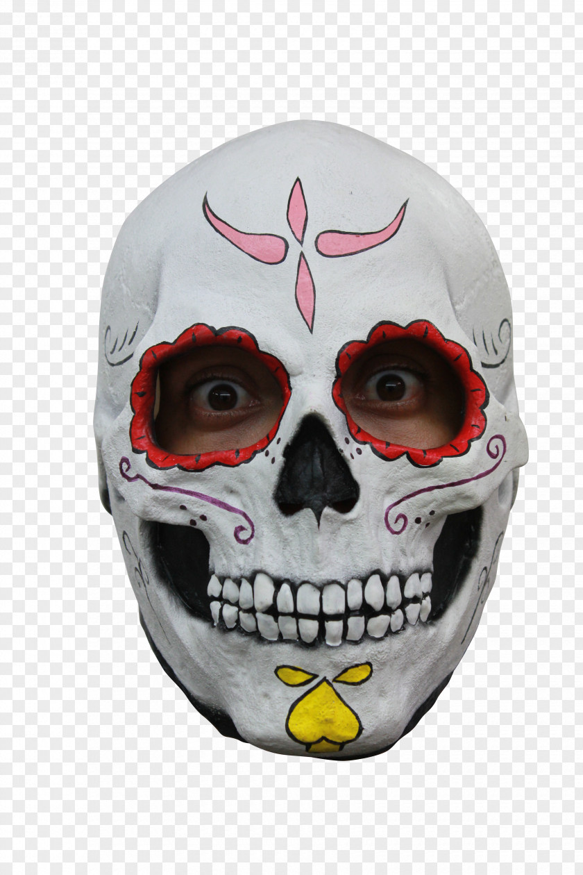 Glasses Masque Day Of The Dead Skull PNG