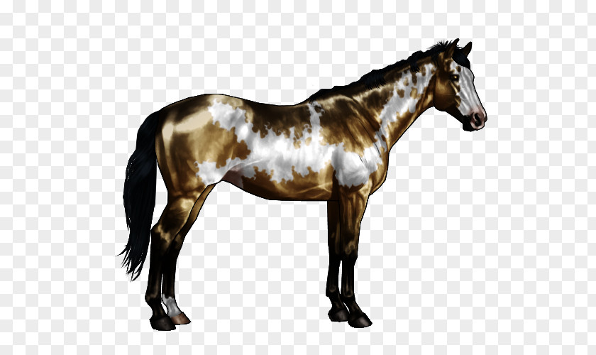 Horse Pattern American Paint Markings White Chestnut Roan PNG
