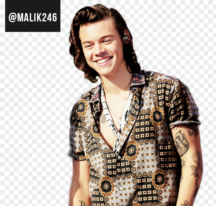 One Direction Harry Styles T-shirt Model Male PNG