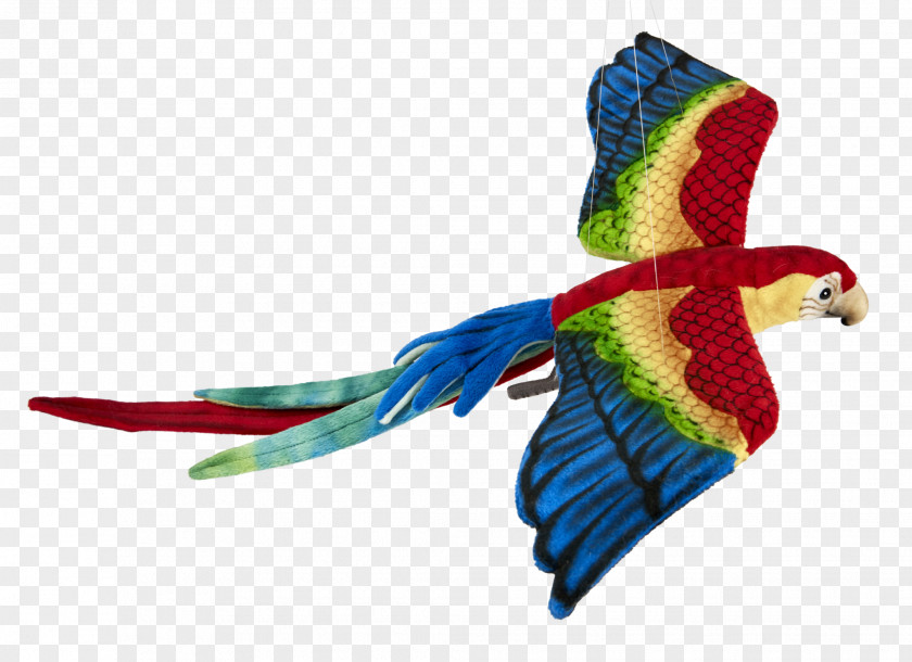 Scarlet Macaw Feather Parakeet Tropical Forest Reptile PNG