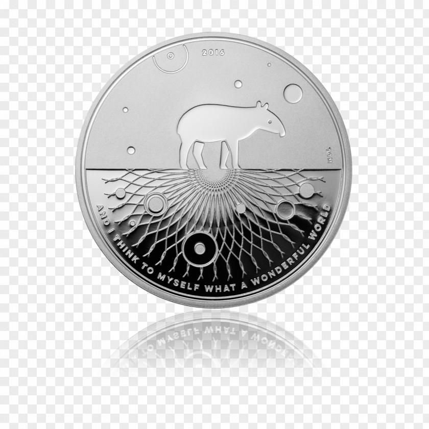 Silver Coin Bullion PNG