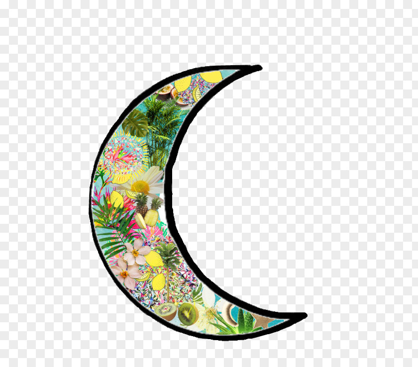 Stay Away From Drugs Moon Lunar Phase We Heart It PNG