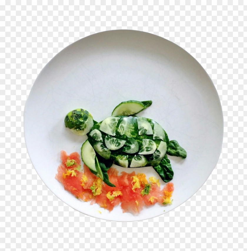 Swimming Turtle Vegetable Platter Cucumber Vegetarian Cuisine PNG