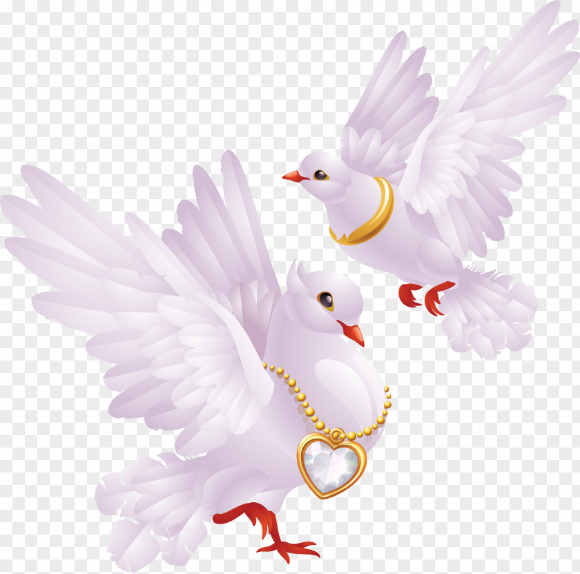 White Pigeons Image Pigeon Comm School District Domestic Tasty Nut Shop Farrand Funeral Home Jerry Kash Inc PNG